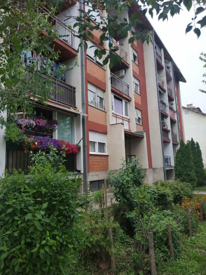 Apartman Ivan Vrdnik Eksteriør billede